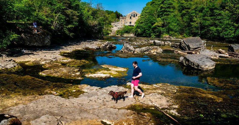 Tweet card summary image