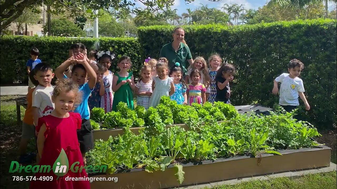 Dream_in_Green's tweet card. Join the Green Schools Challenge!