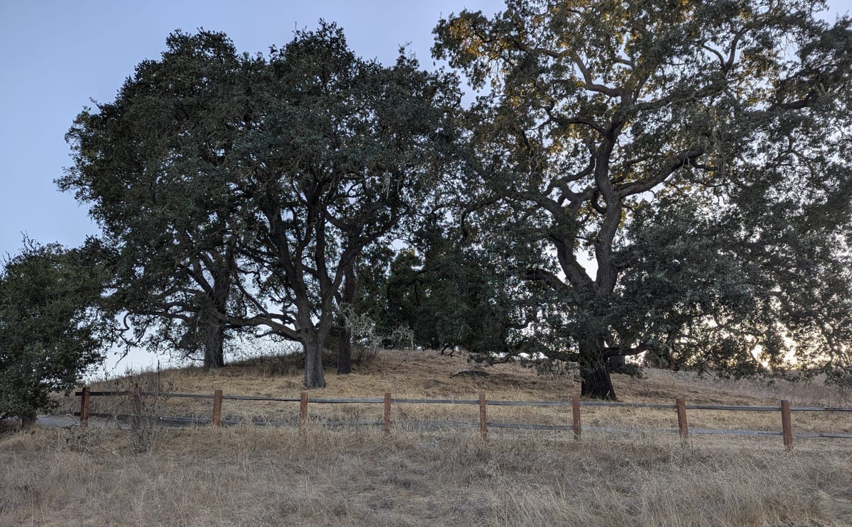 codinginrust's tweet card. GWP-ASan finds rare memory errors in C and C++ called from Rust.