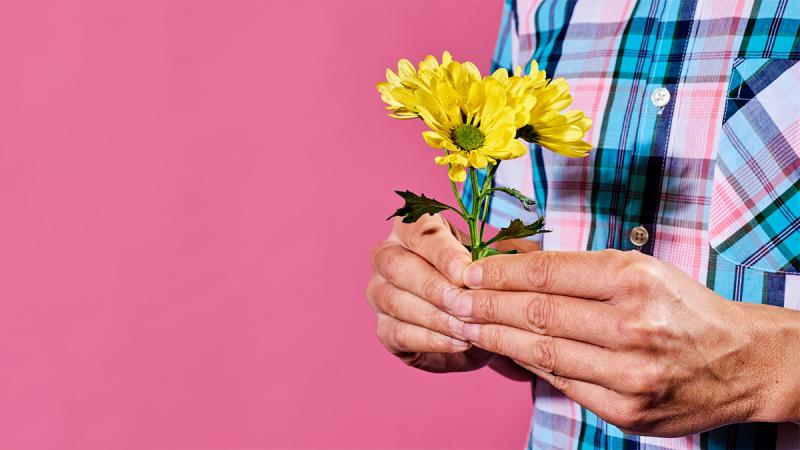 davidmcc's tweet card. I chose this over free snacks and mandatory fun 🤩