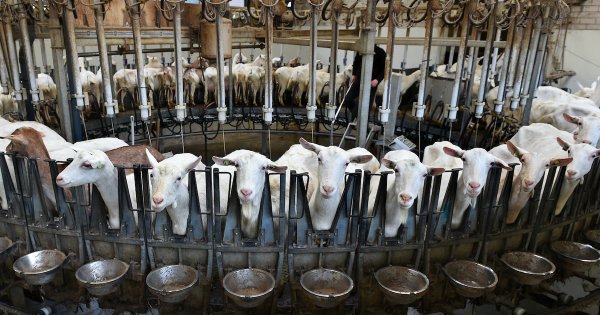 Image for twitter card