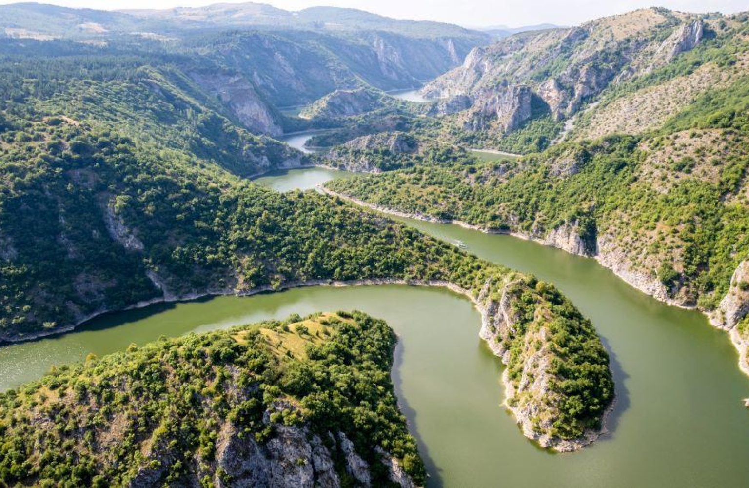 MaritOverbeek's tweet card. Onlangs is de Europese wet voor natuurherstel aangenomen. Wetenschappers uit Europa geven hun visie of de wet natuurherstel dichterbij brengt.