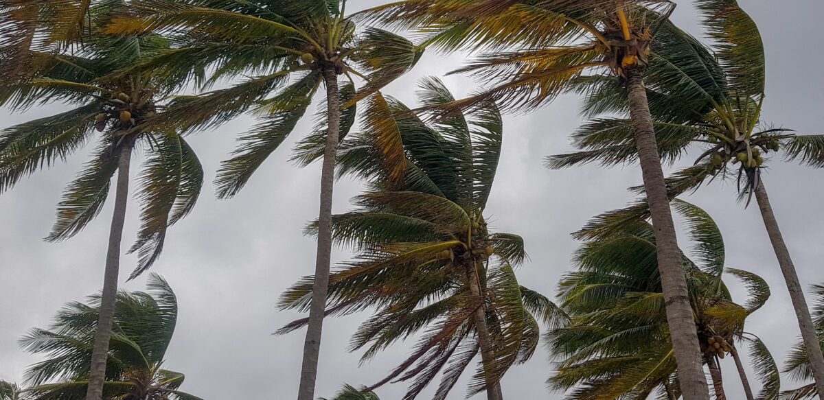 TechNetNE's tweet card. How Tech is Improving Disaster Response – TechNet