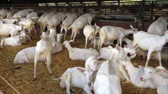 Image for twitter card