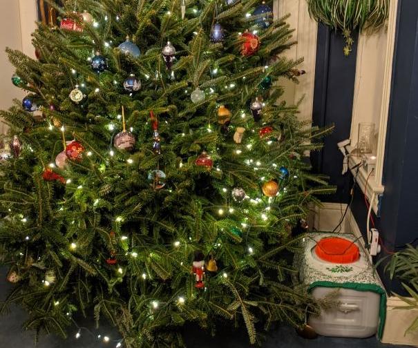 arduino's tweet card. Time to Water the Christmas Tree: Every year we have a Christmas tree and every year someone gets the fun job of watering it. One must crawl under the branches dragging a small pot to add water to...