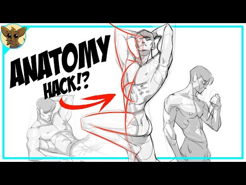 RodriM30024's tweet card. Anatomy Method I Wish I Knew Sooner