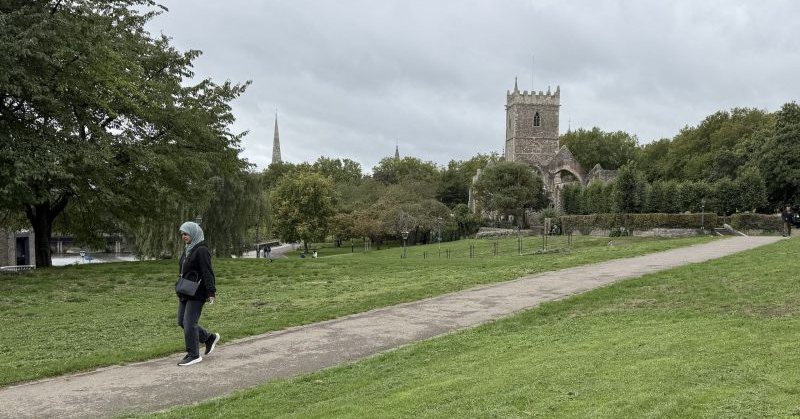 Tweet card summary image