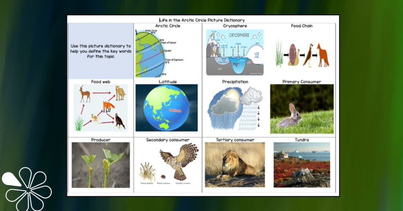 Tweet card summary image