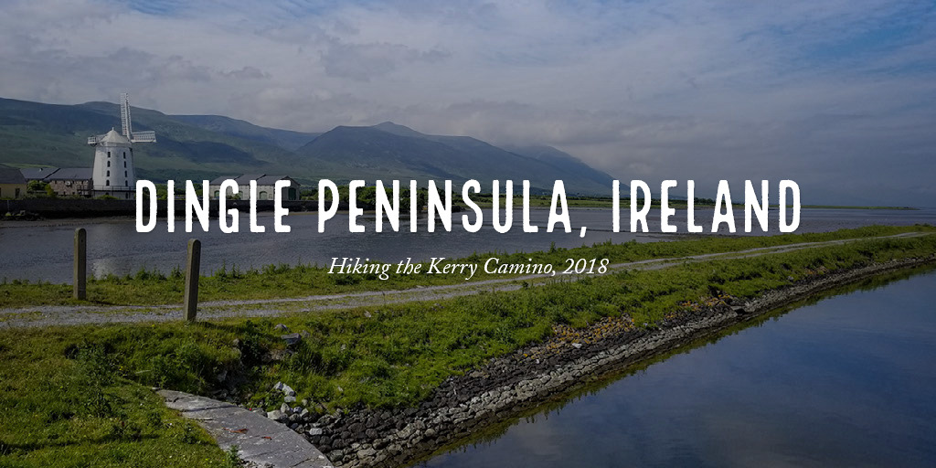 SQLRunr's tweet card. A story told with Adobe Express