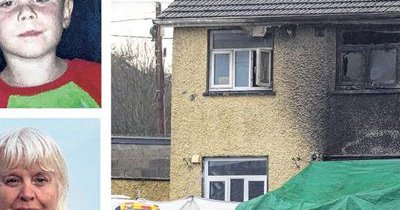 Tweet card summary image