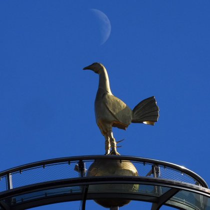 Tweet card summary image