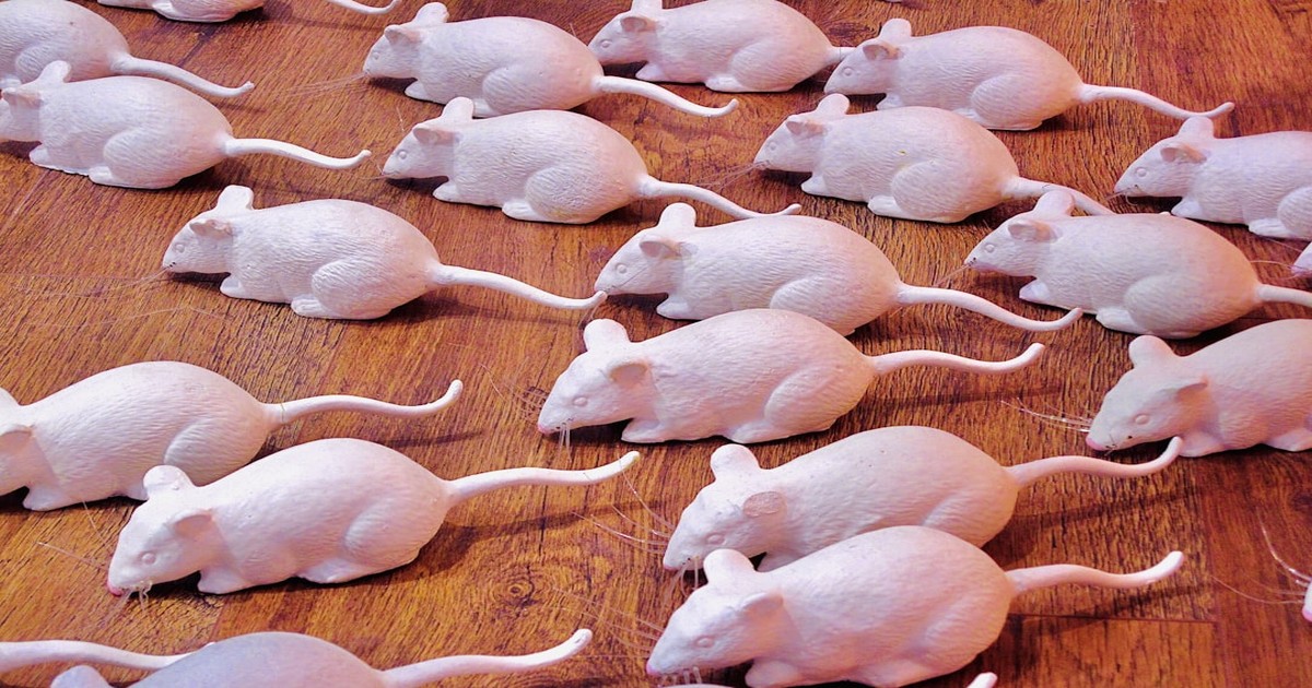 Infacts_ai's tweet card. Researchers at Stanford Medicine studied brain activity in young, middle-aged, and old mice to understand spatial memory decline in aging brains. The study found that the medial entorhinal cortex,...