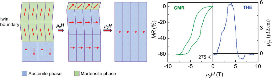 PremakumarYanda's tweet card. Ferromagnetic shape memory Heusler alloy Ni2Mn1.4In0.6 exhibits colossal magnetoresistance (CMR) and giant topological Hall effect (THE) near room temperature, which is attributed to the enhanced...
