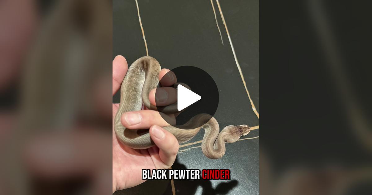 arutyuudesu's tweet card. code:ZEROの動画をチェックしよう。