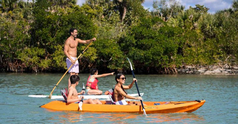 Tweet card summary image