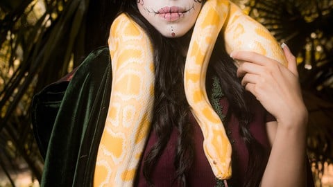 subhamchand04's tweet card. Python Development Certification and preparing for other types of certification