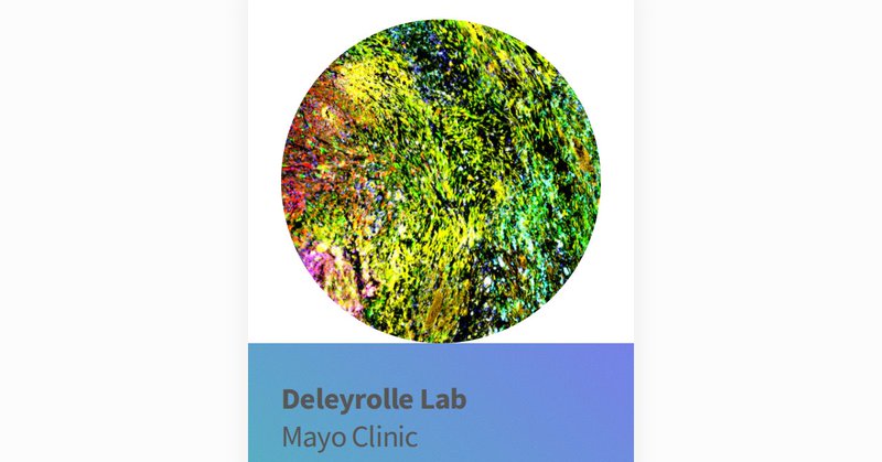 Tweet card summary image