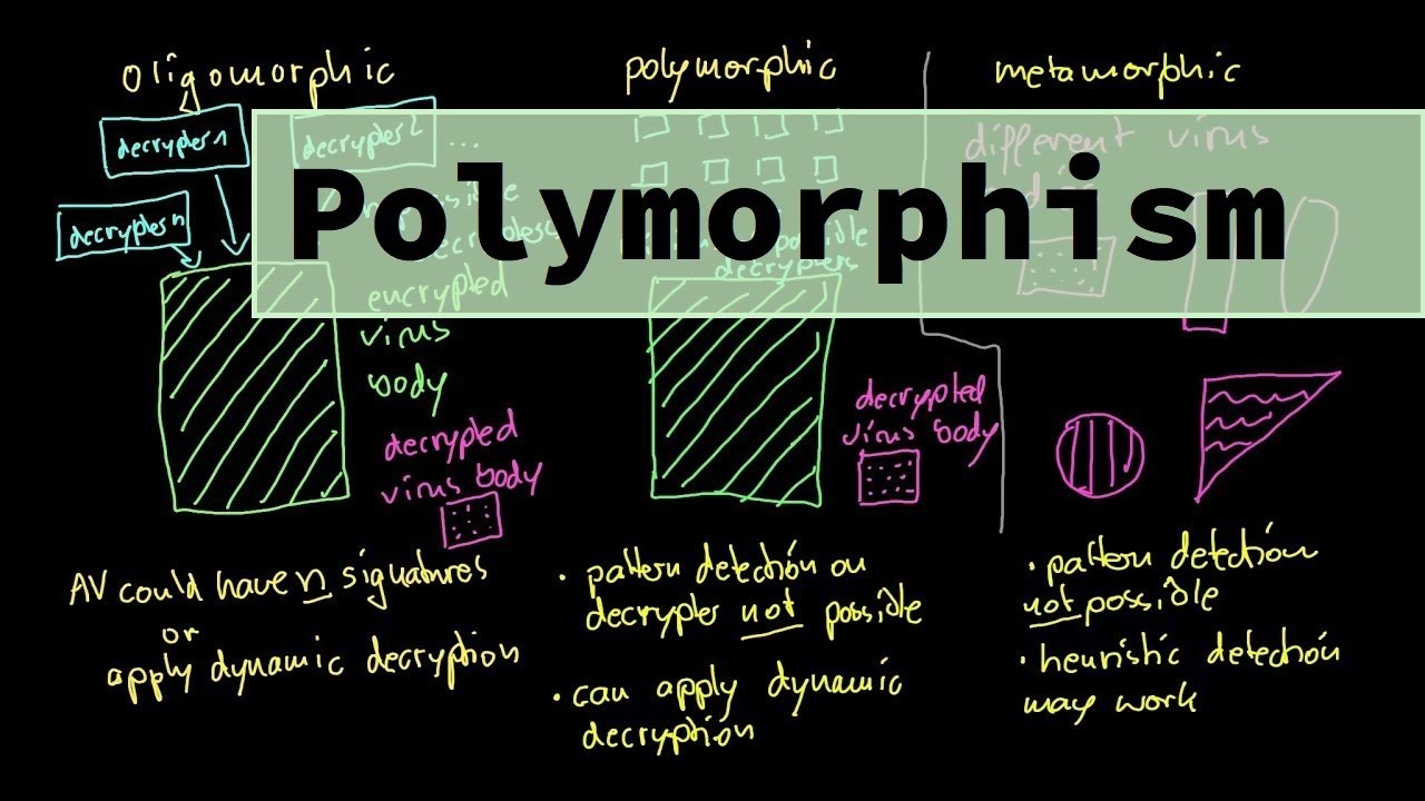 binitamshah's tweet card. Malware Theory - Oligomorphic, Polymorphic and Metamorphic Viruses