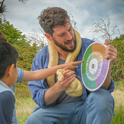 Tweet card summary image