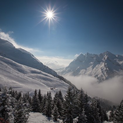 Tweet card summary image