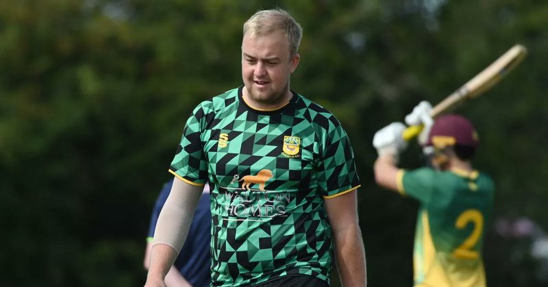 Tweet card summary image