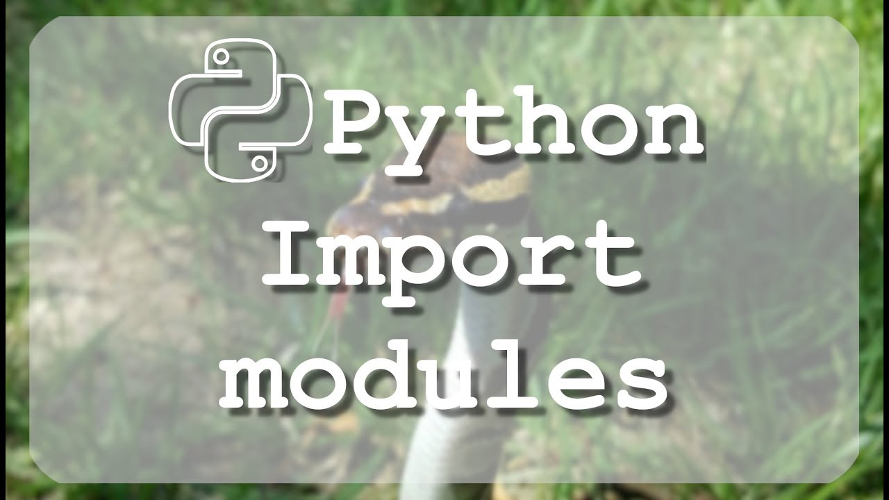 PyLessons's tweet card. #13 Learn to use Python import module
