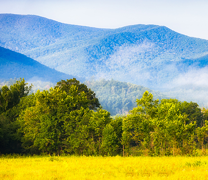 gcpAppliedTech's tweet card. Using a high performance weather barrier, GCP rescued a residential construction from irreparable moisture damage.