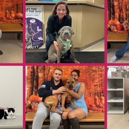 Image for twitter card