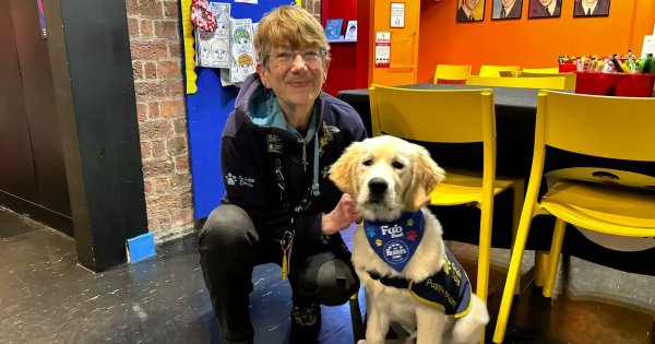 Image for twitter card