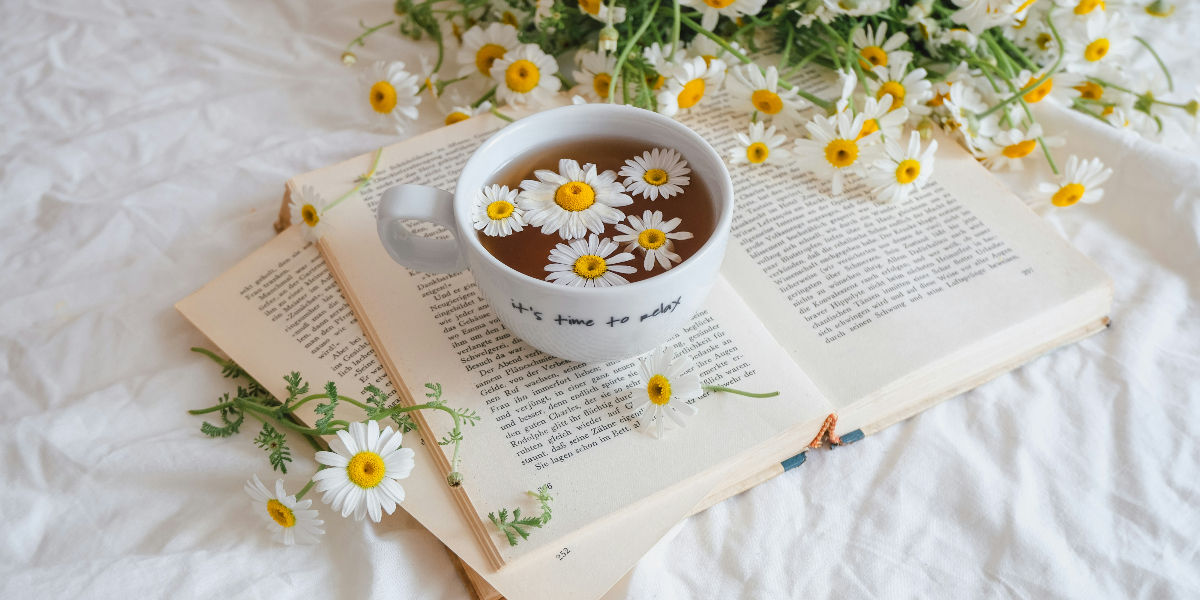 bizbookpr's tweet card. These titles will be included in our longlist of potential titles for Season 30 of the Next Big Idea Club.