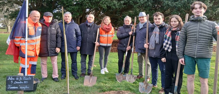 Image for twitter card