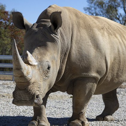 Image for twitter card