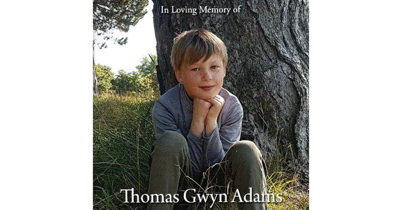 Tweet card summary image