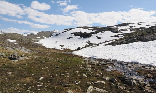 Image for twitter card