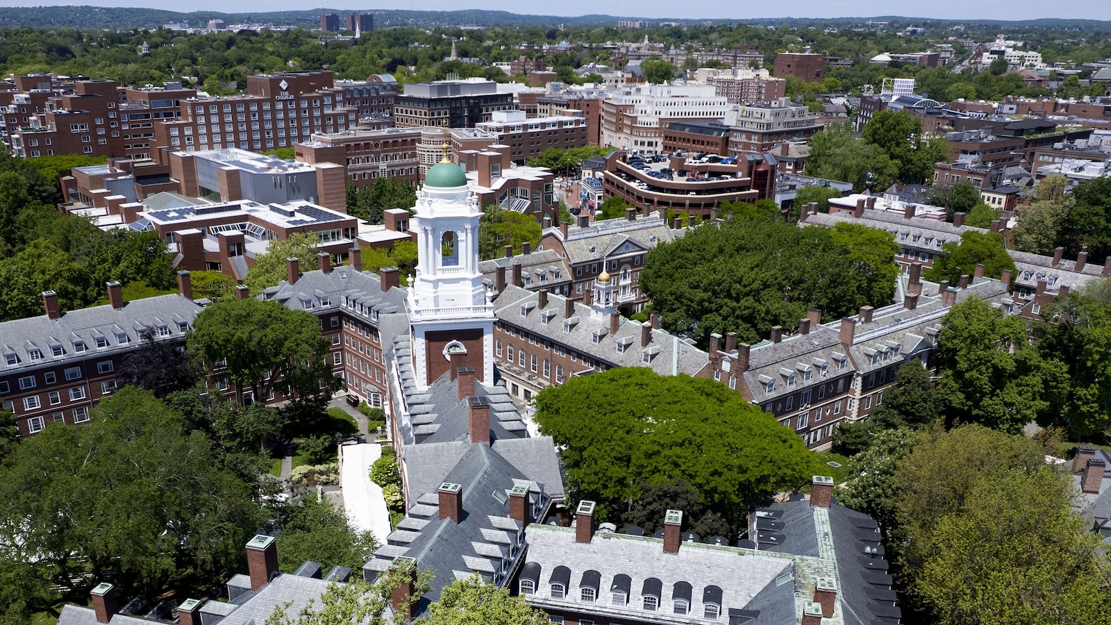 stshuken's tweet card. Grant terminations at Harvard have affected research on antibiotic resistance, identifying the earliest precursors of breast cancer and finding cures for ALS.