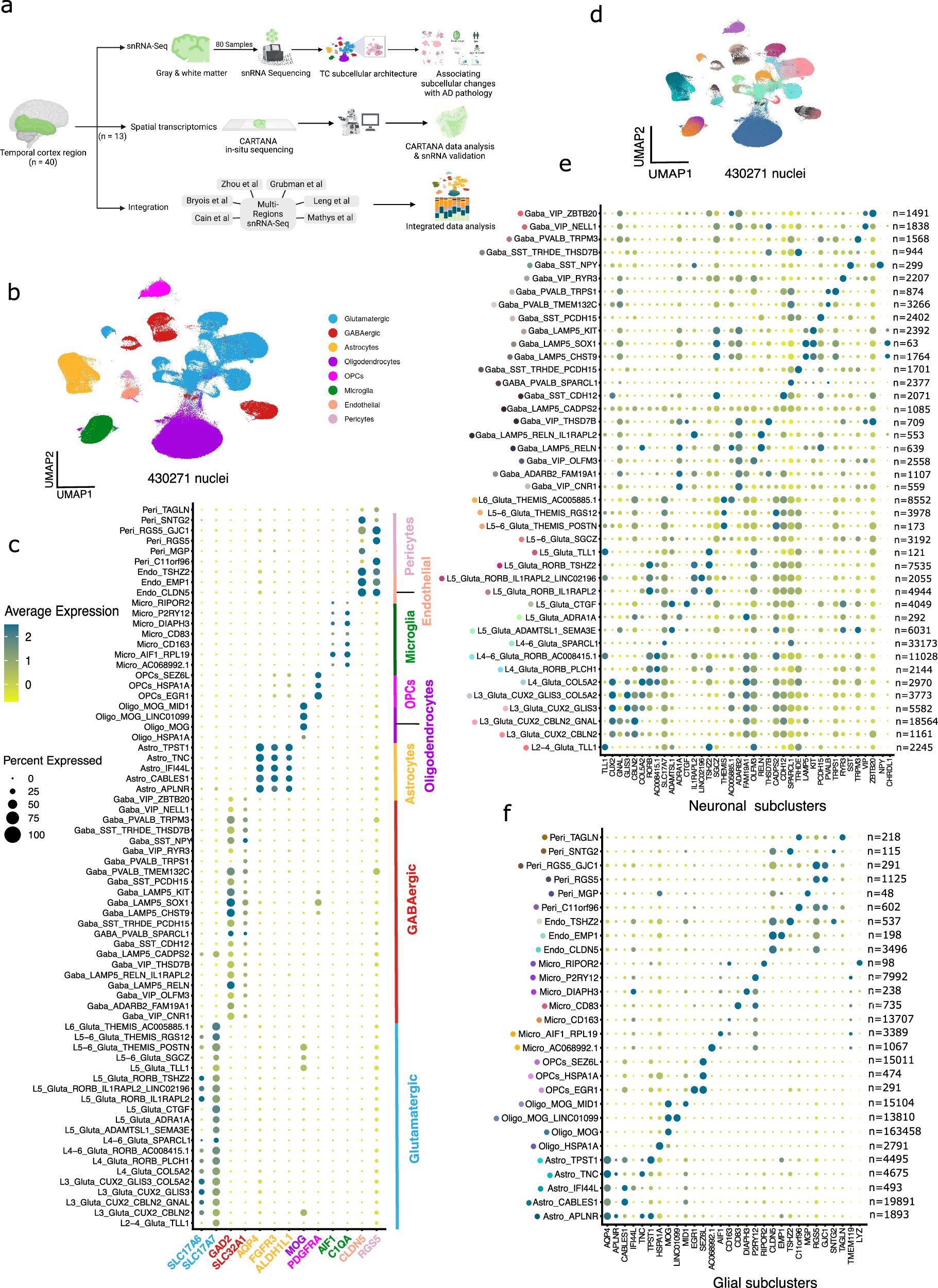 findpal's tweet card. Nature Communications - While the pathogenesis of Alzheimer’s disease (AD) has been extensively studied, the predominant focus has traditionally been on gray matter alterations. Here, authors...