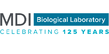 Nematodatomus's tweet card. The Mount Desert Island Biological Laboratory (MDI Bio Lab) in Bar Harbor, Maine, invites applications for an Assistant Professor position in the K...