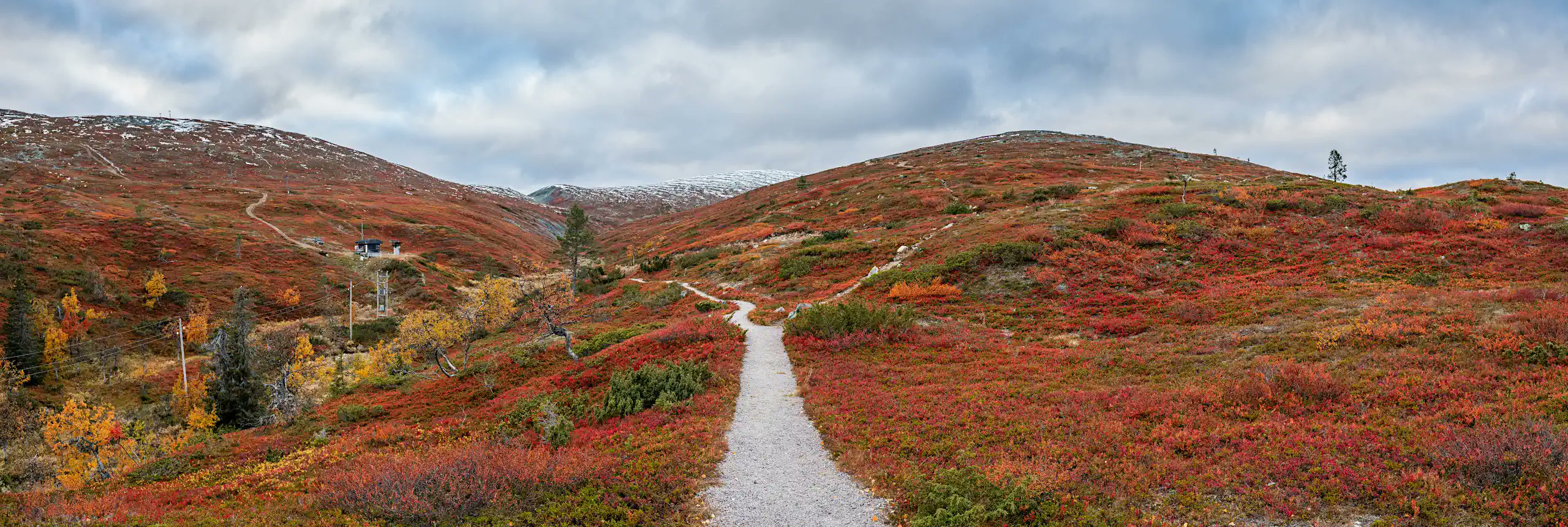 bookstack_app's tweet card. This laggard of a release finally lingers to deployment this day in October bringing the first alpha-state inclusion of the new WYSIWYG editor, which has been the main development focus, but that...