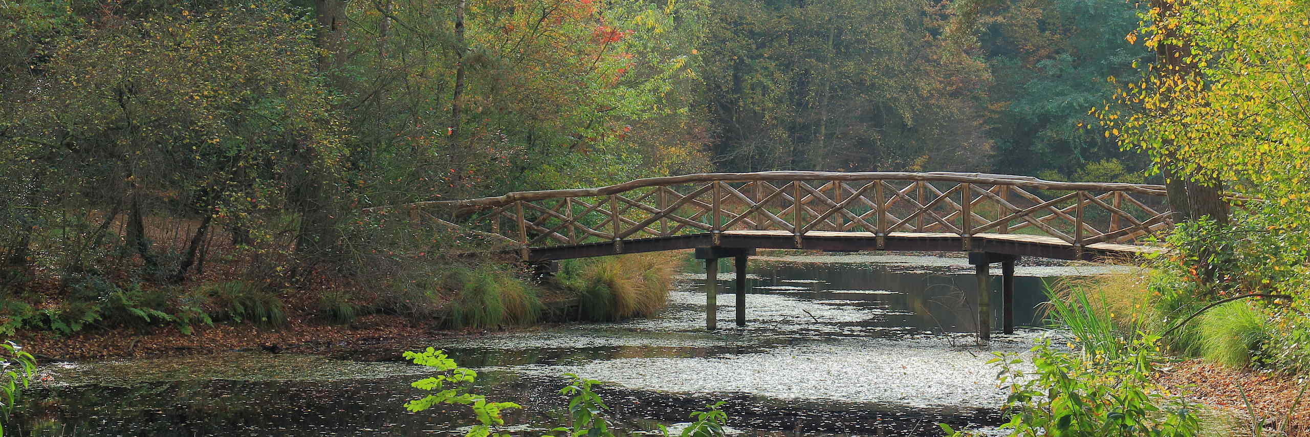 bookstack_app's tweet card. Since we’ve gone a few months without an update I thought it’d be good to provide a post regarding project progress & other activities, so here’s what’s been going on over the last few months: