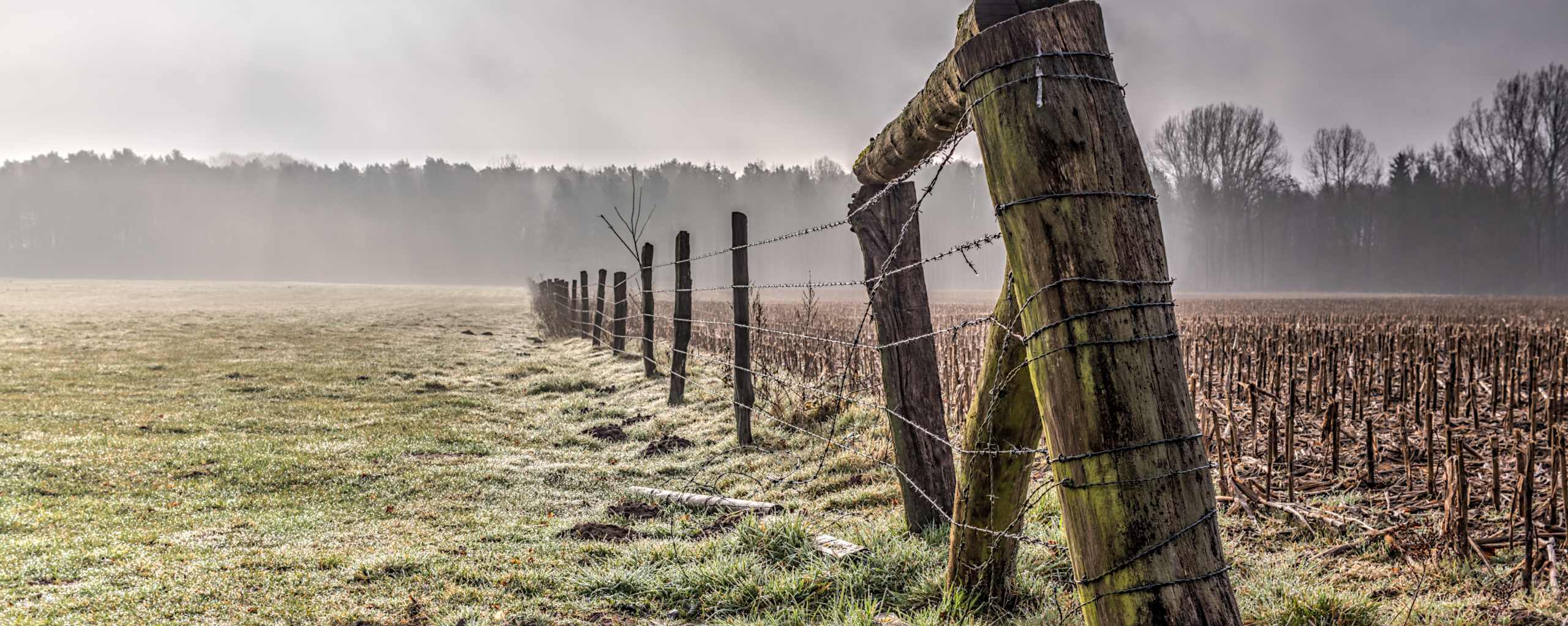 bookstack_app's tweet card. BookStack v24.10.2 has been released. This is a security release to address a vulnerability in our dependencies where specifically formatted requests could be used to manipulate application configu...