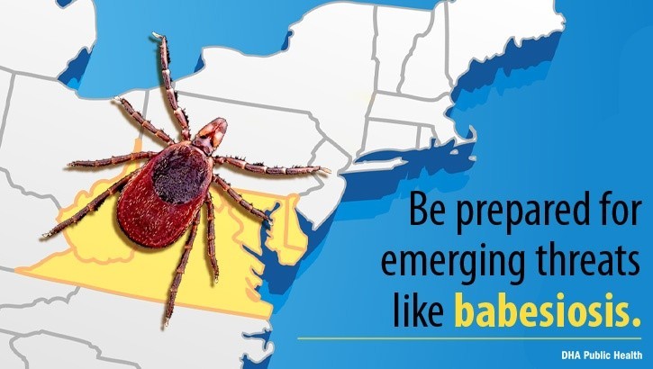 afpmb's tweet card. Babesiosis is a malaria-like disease that is more commonly found in the Northeast and upper Midwest of the United States.