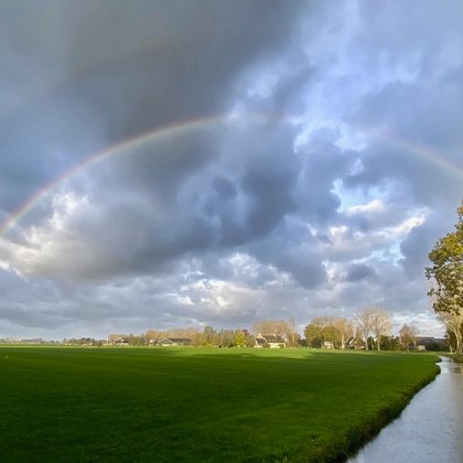 Tweet card summary image