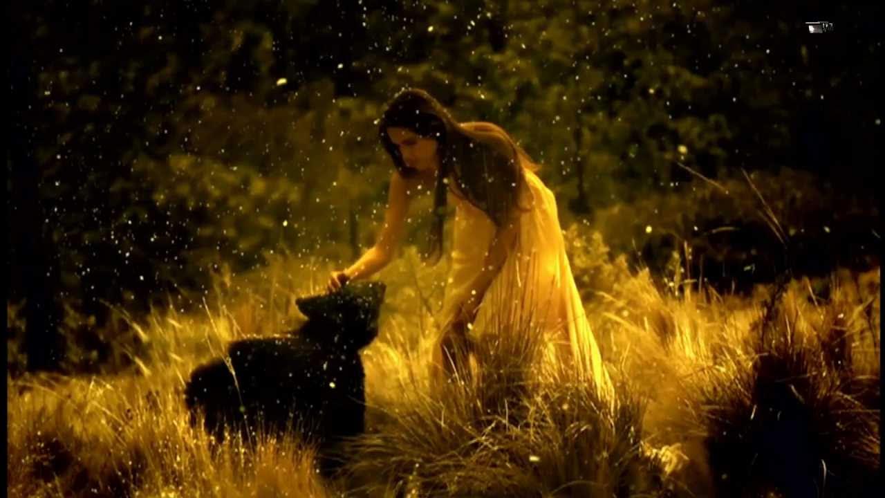 SQLNiko's tweet card. Sin Ella-Gipsy Kings