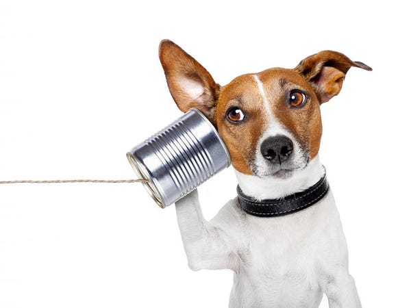 ToliBear's tweet card. Every idea needs a Medium