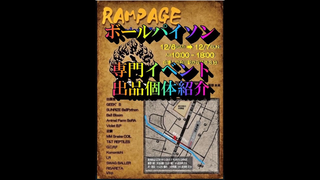 TT_REPTILES's tweet card. 25'ボールパイソン専門イベントRAMPAGE出品個体紹介!!!【ボールパイソンBallpython】