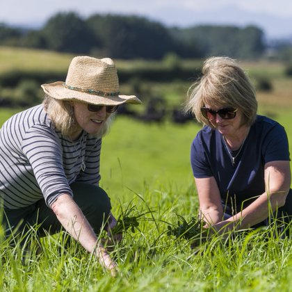 Tweet card summary image