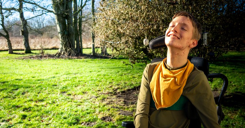 Tweet card summary image