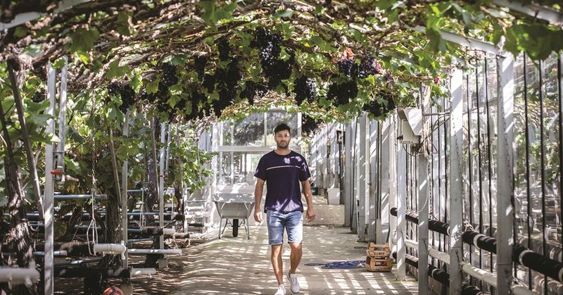 Tweet card summary image