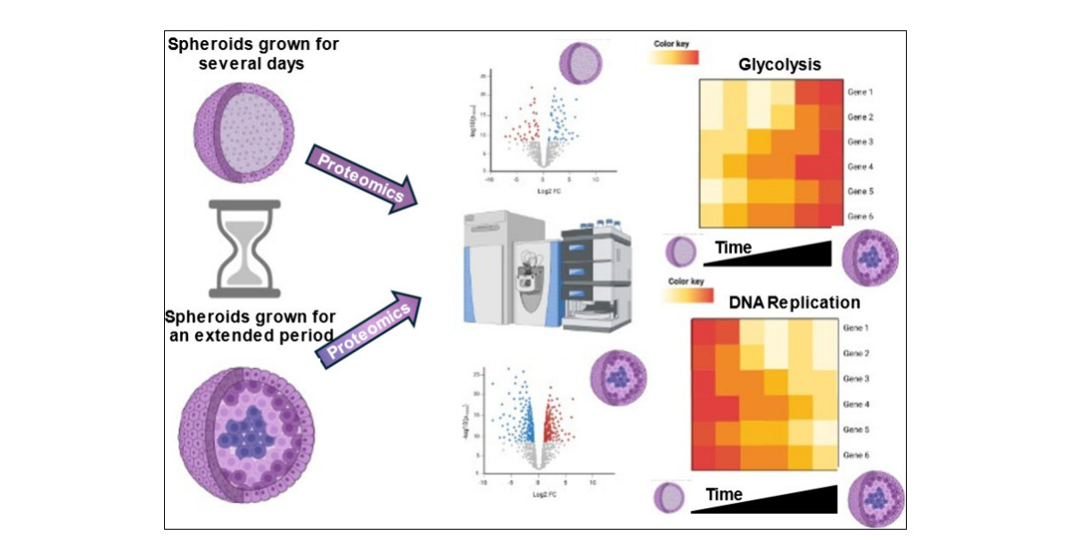 HummonLabOSU's tweet card. The FDA Modernization Act 2.0 permits data from advanced microphysiological systems, such as spheroids, to be used as a testbed for drug candidates entering phase 1 clinical trials. Despite their...