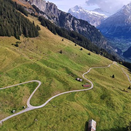 Tweet card summary image